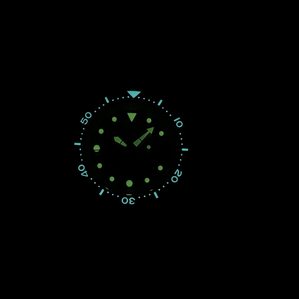 STEELDIVE SD1975 reloj de buce - Seiko Watch Prospex reseña y precio